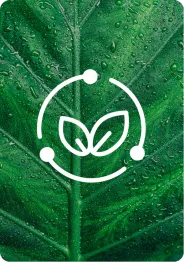 sustainability in print