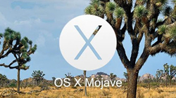 MacOS10 Mojave statement